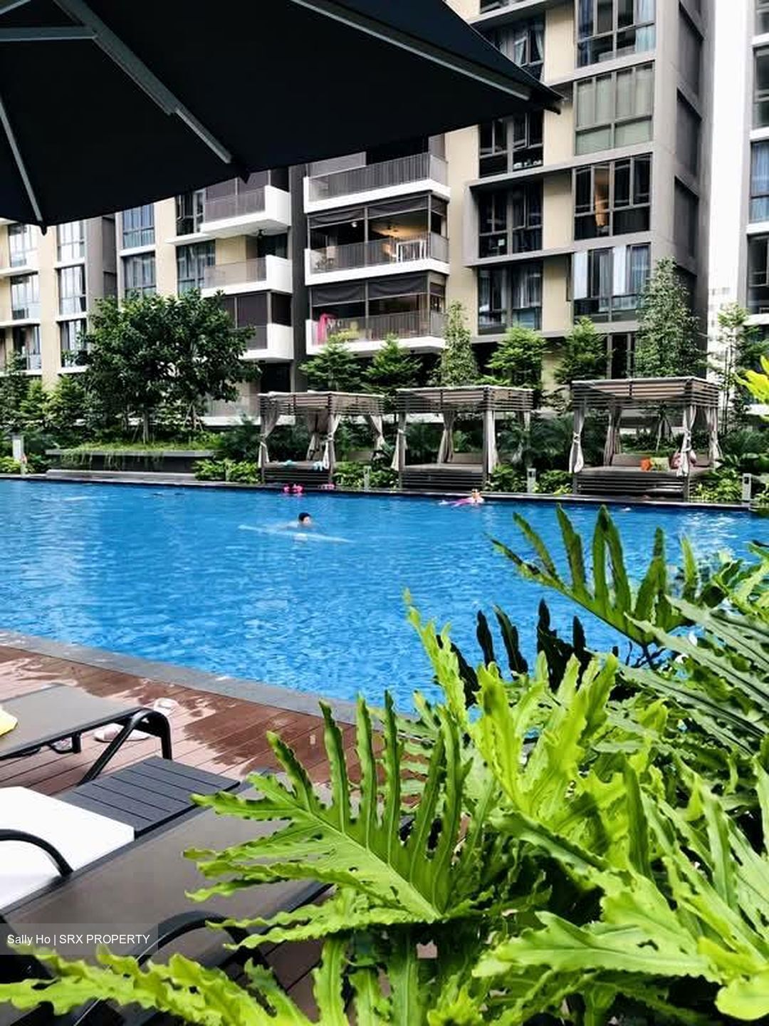 Treasure Crest (D19), Condominium #572146841